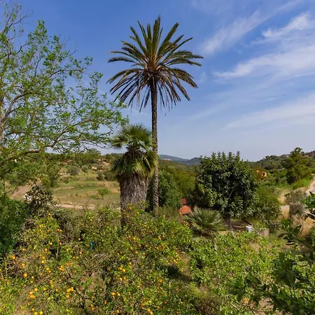 Quintavalle By Helloelba * Portoferraio